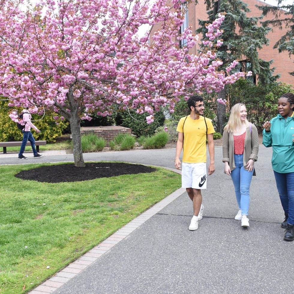 students walking together on campus in front of the University Center